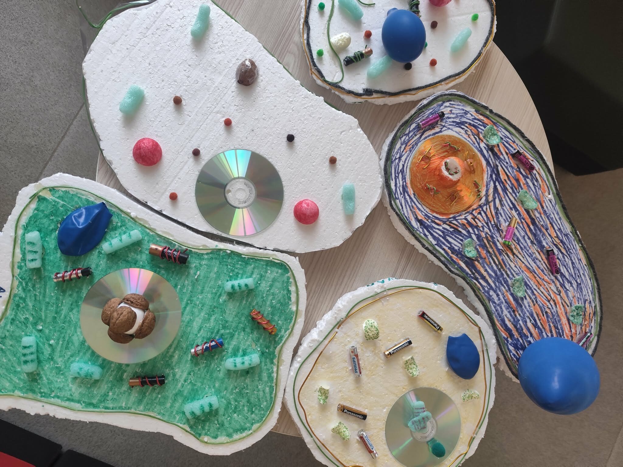 Telšiuose sužibo „STEAM žvaigždės“